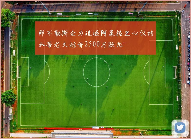 那不勒斯全力追逐阿莱格里心仪的加蒂尤文标价2500万欧元
