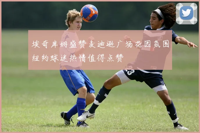 埃奇库姆盛赞麦迪逊广场花园氛围纽约球迷热情值得点赞