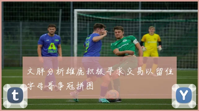 文胖分析雄鹿积极寻求交易以留住字母哥争冠拼图